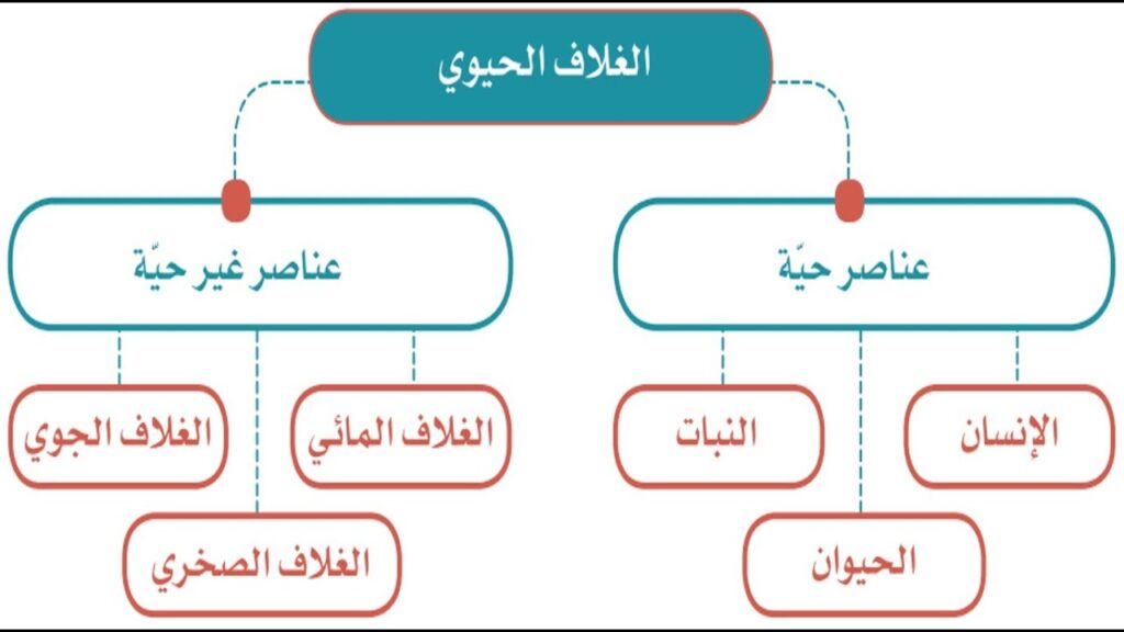 انتقال الكربون بين المخلوقات الحية بشكل مستمر يسمى