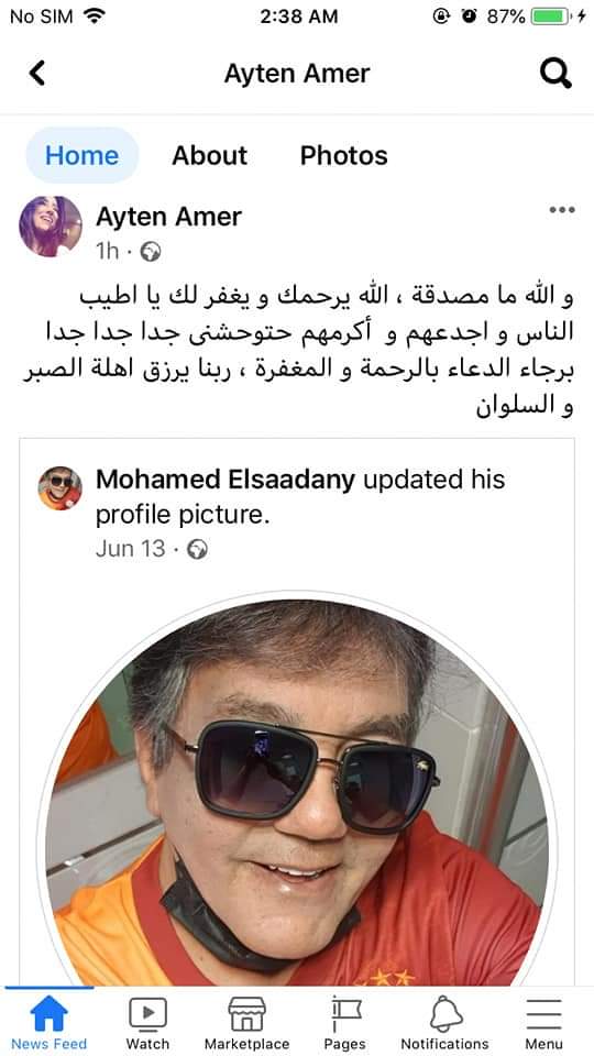 محمد السعدني