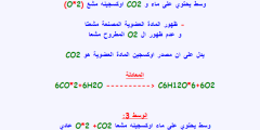 إعراب المستثنى في الاستثناء التام المثبت يكون دائمًا مجرور .