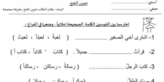 تحميل ورقة عمل تنوين الفتح 1446 وأبرز التدريبات؟