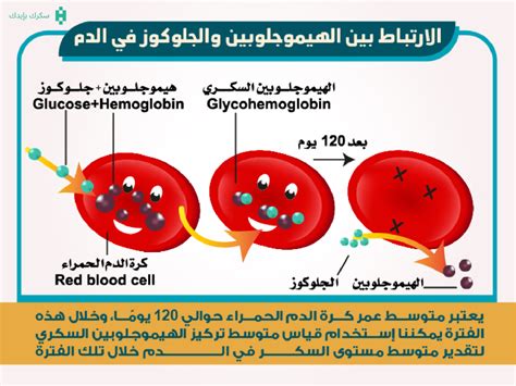 5- الهيموجلوبين السكري :