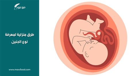 طريقة موثوقة لمعرفة جنس طفلك