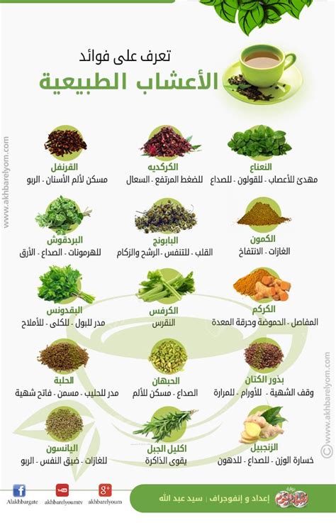 نبذة عن الأعشاب الطبيعية: