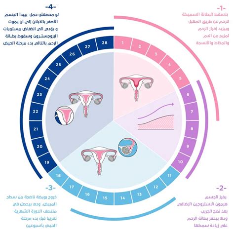 أسباب تأخر الدورة الشهرية: