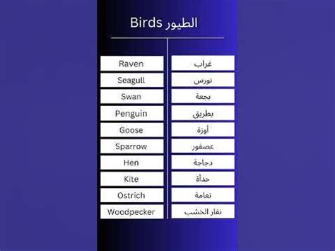 اسم الطيور الإنجليزية