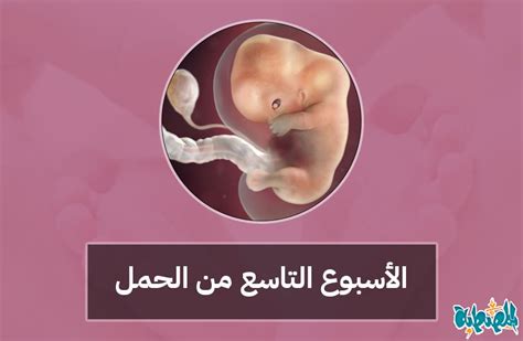 أعراض الأسبوع التاسع من الحمل