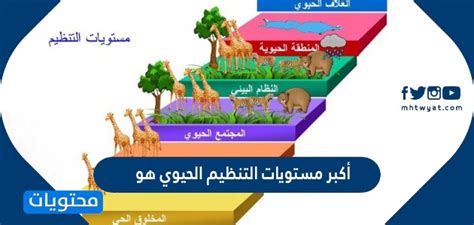 أعلى مستوى من التنظيم البيولوجي هو