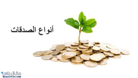 أنواع أخرى من العمل الخيري المستمر إلى جانب المال