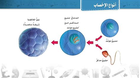 أنواع الإخصاب الداخلي