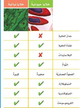 أي الأجزاء التالية يوجد فقط في الخلايا النباتية؟