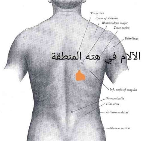 الأعراض المصاحبة لألم الجانب الأيمن من الظهر: