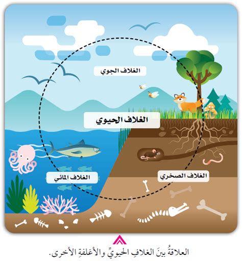 التحديات التي تواجه المحيط الحيوي