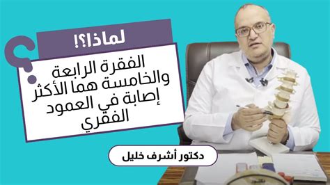 الفقرة 4: الاستنتاج والادعاء