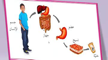 علم الأحياء