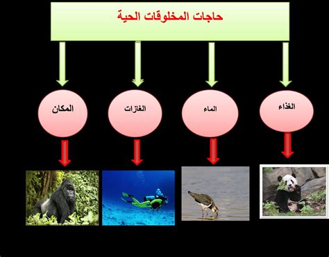 علم الأحياء