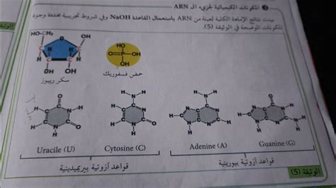 التركيب الكيميائي للأرز: