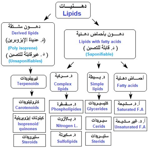 تصنيف الدهون