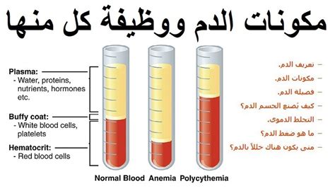 تعريف خلايا الدم البيضاء: