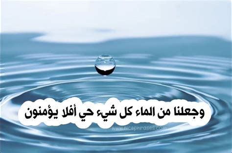 الحكمة عن الماء