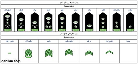 الدفاع الوطني الكويت