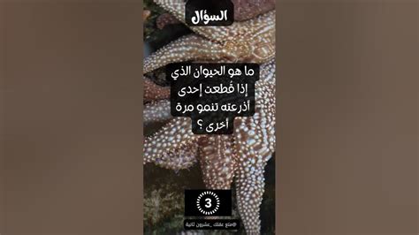 ما اسم الحيوان الذي ينمو له ذراع بعد قطعه؟