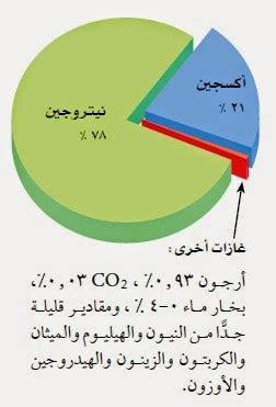 ما هي الغازات الأكثر شيوعا في الغلاف الجوي؟