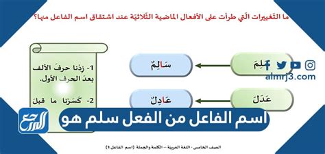 اسم السمة سلم