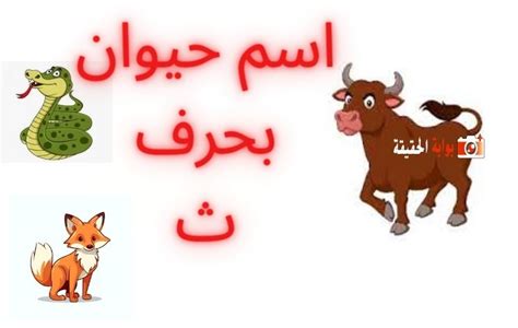 تبدأ النباتات بالرسائل